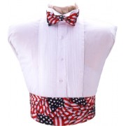 Stars and Stripes Cummerbund and Tie Set