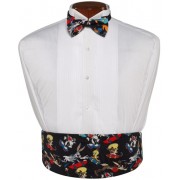 Looney Tunes Cummerbund and Bow Tie Set