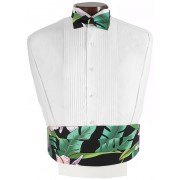 Hawaiian Bird of Paradise Cummerbund and Bow Tie Set