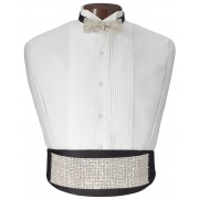 Rhinestone Glitz Cummerbund and Bow Tie Set