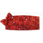 Holiday Sparkle Cummerbund and Tie Set Holiday Sparkle Cummerbund and Tie Set