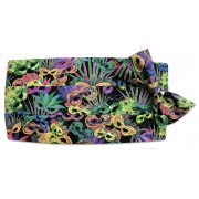 Mardi Gras Carnival Cummerbund and Tie Set