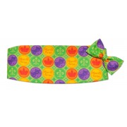 Mardi Gras Coins Cummerbund and Tie