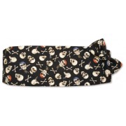 Skull and Funny Bones Cummerbund and Tie Set