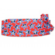 Mickey Mouse Star Cummerbund and Bow Tie Set