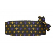 Mardi Gras Fleur de Lis Cummerbund and Bow Tie Set