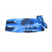 Tradewinds Cummerbund and Bow Tie Set